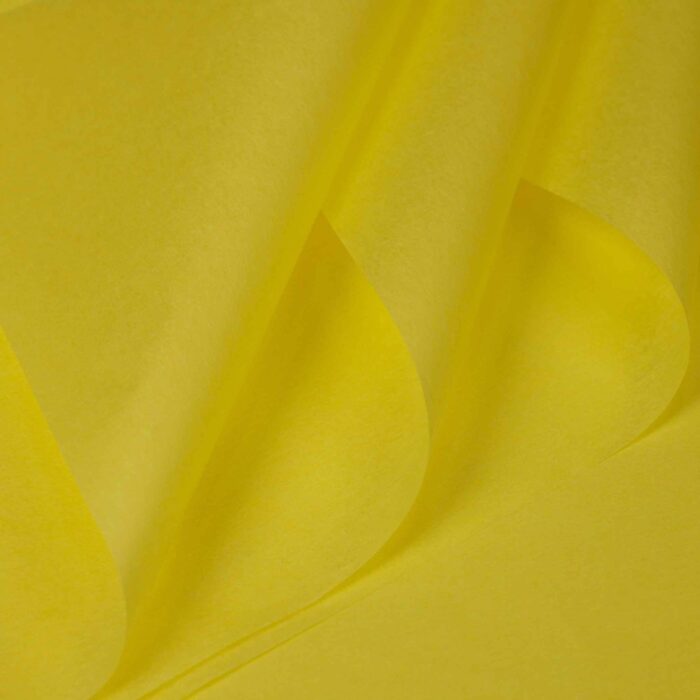 Solid Color Sydney Flower Wrapping Paper gold
