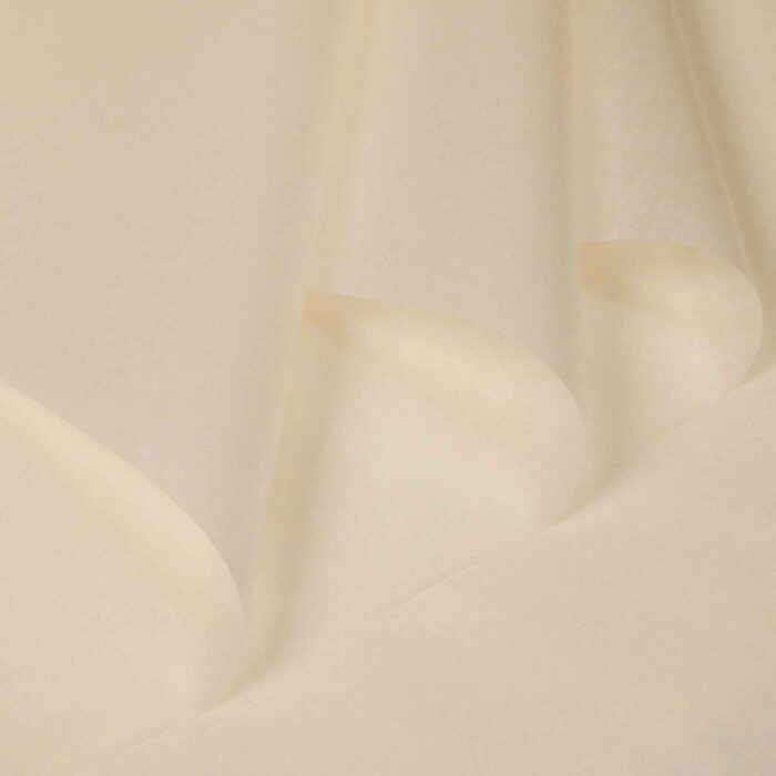 Solid Color Sydney Flower Wrapping Paper champagne