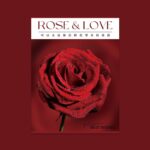 Joyful Floral Wrapping Paper rose red