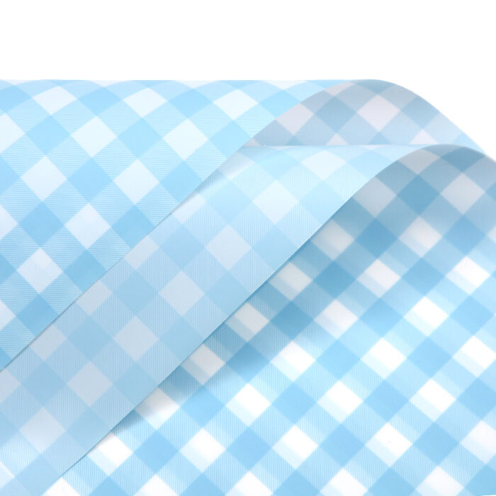 Youthful Plaid Korean Paper blue