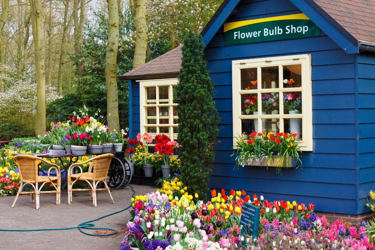 Small Business for Florists