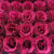 Rose-Pink