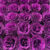 Deep Purple